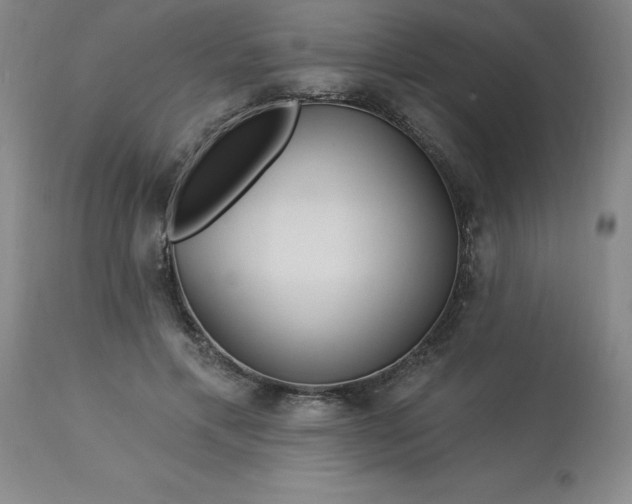 X0000113120597200909111141