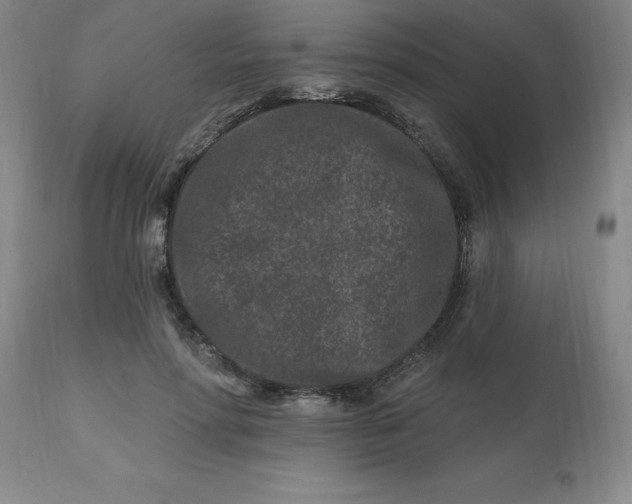 X0000113120598200909111141