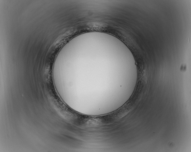 X0000113120599200909111141