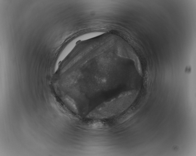 X0000113120600200909111141