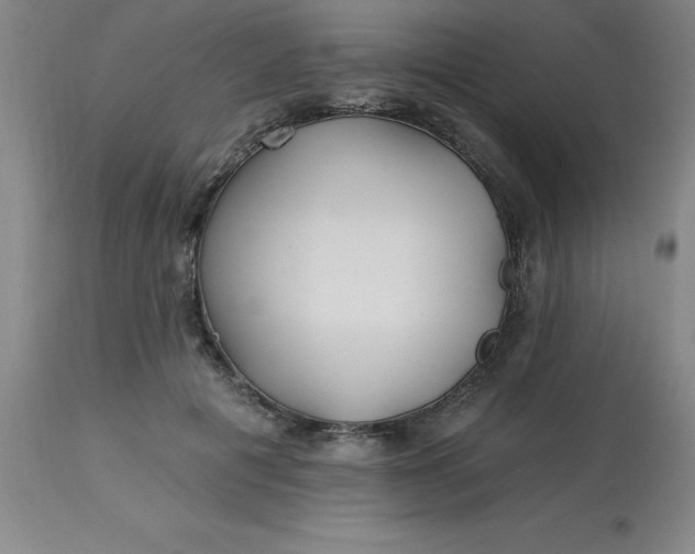 X0000113120601200909111141