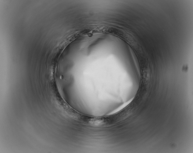 X0000113120602200909111141