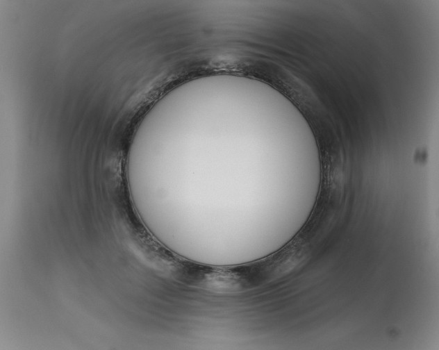 X0000113120603200909111141