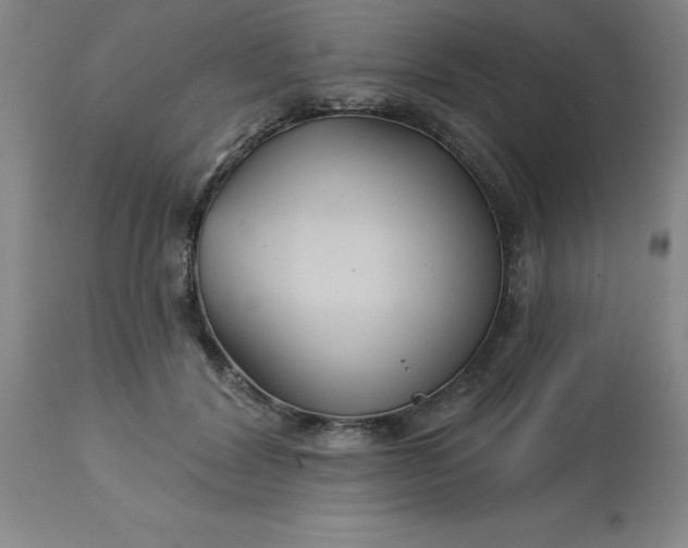 X0000113120604200909111141