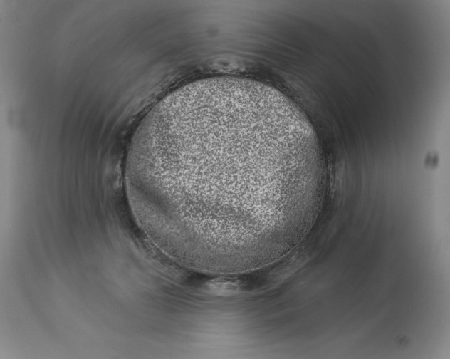 X0000113120606200909111141