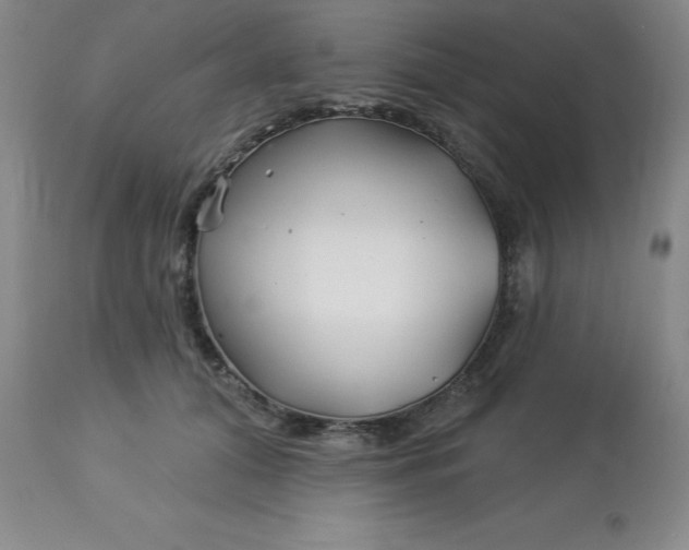 X0000113120608200909111141