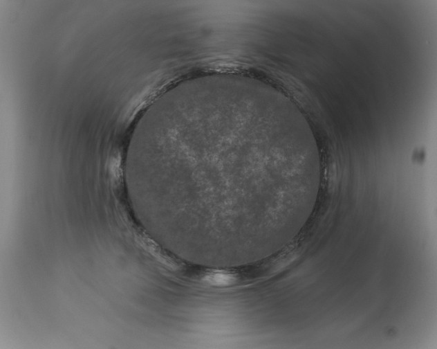 X0000113120610200909111141