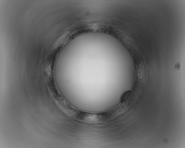 X0000113120611200909111141