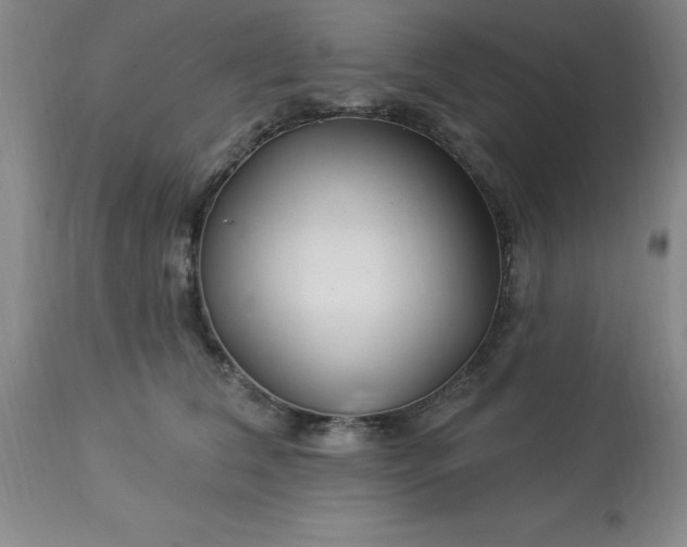 X0000113120612200909111141