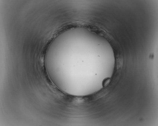 X0000113120613200909111141