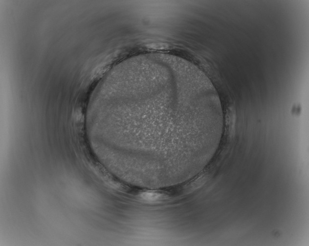 X0000113120614200909111141