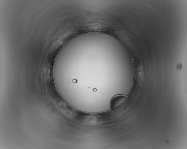 X0000113120615200909111141