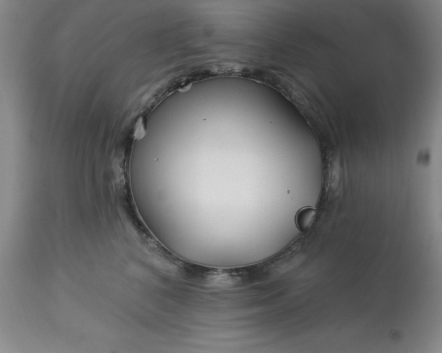 X0000113120616200909111141