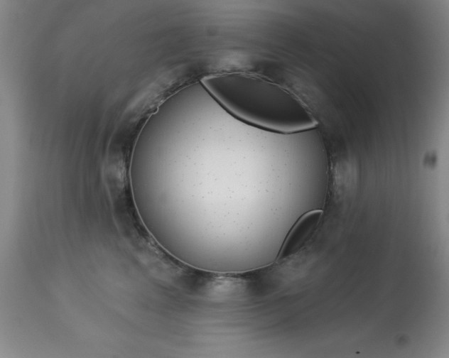 X0000113120617200909111141