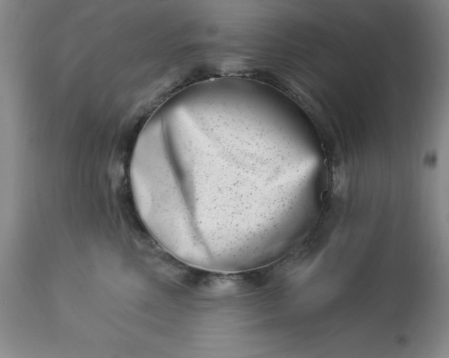 X0000113120618200909111141