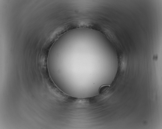 X0000113120619200909111141