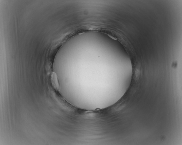 X0000113120620200909111141