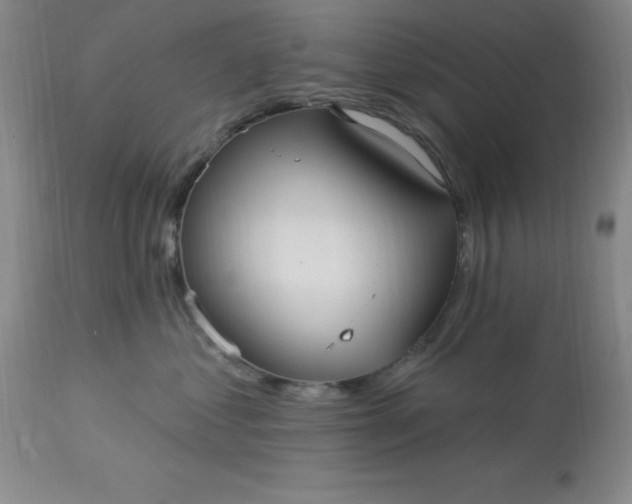 X0000113120621200909111141