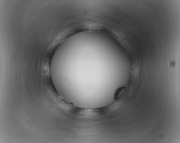 X0000113120622200909111141