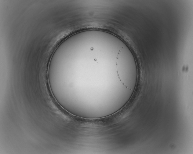 X0000113120625200909111140