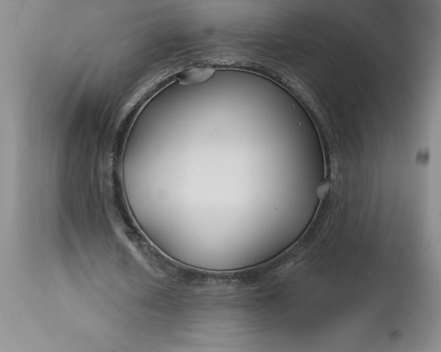 X0000113120626200909111140