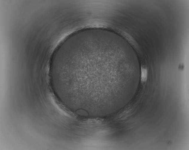 X0000113120627200909111140