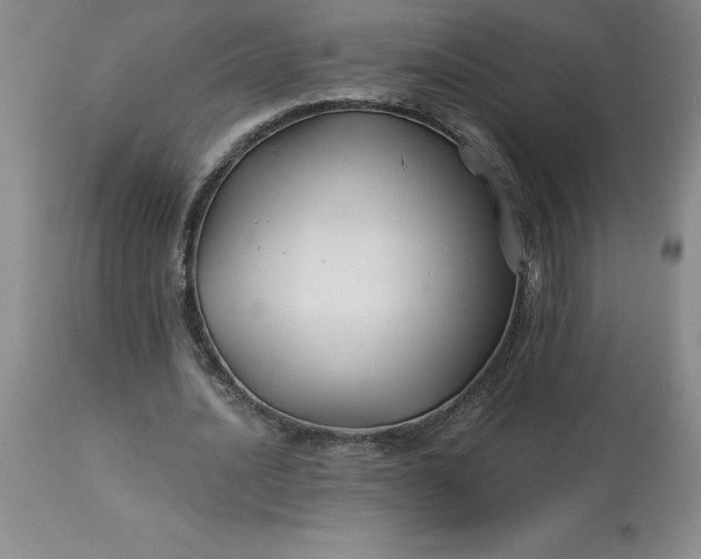 X0000113120628200909111140