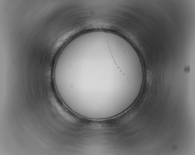 X0000113120629200909111140