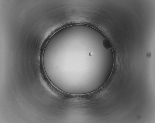 X0000113120630200909111140