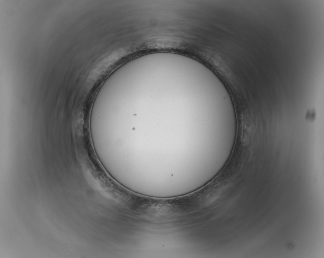 X0000113120631200909111140