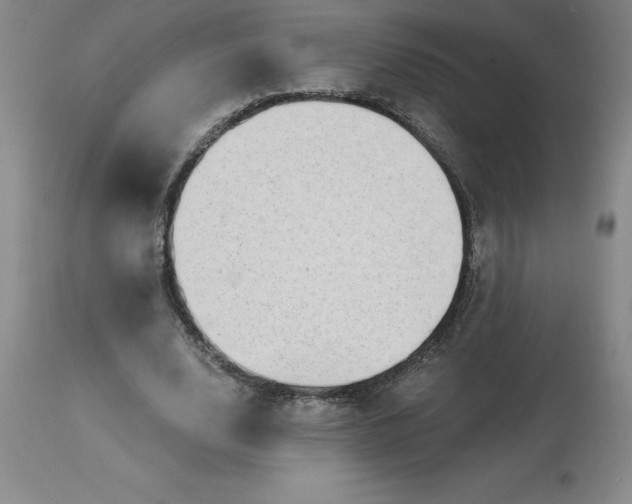 X0000113120632200909111140