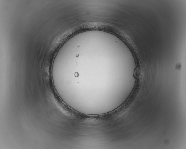 X0000113120633200909111140