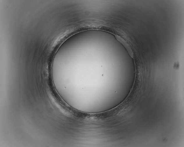 X0000113120634200909111140