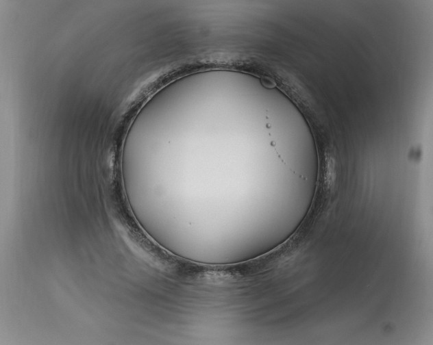 X0000113120636200909111140