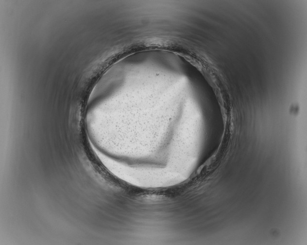 X0000113120637200909111140