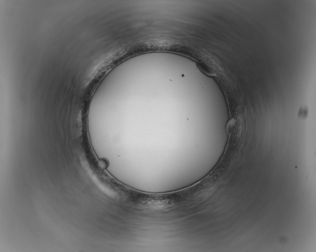 X0000113120638200909111140