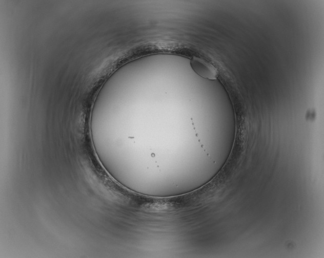 X0000113120639200909111140