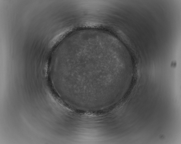 X0000113120640200909111140