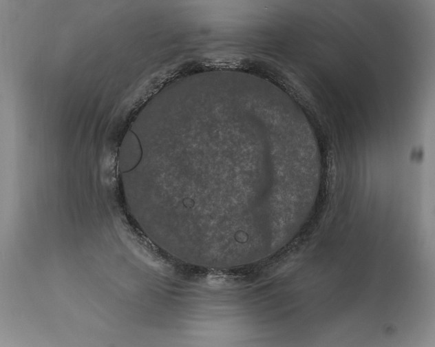 X0000113120641200909111140