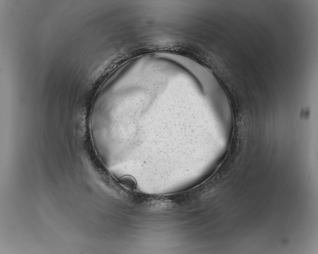 X0000113120642200909111140