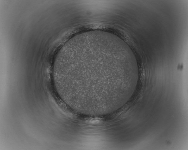 X0000113120643200909111140