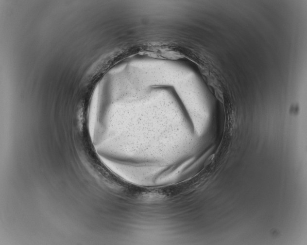 X0000113120644200909111140