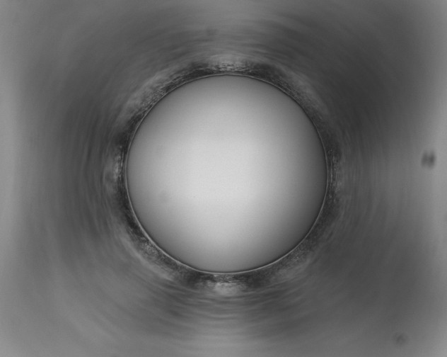 X0000113120645200909111140