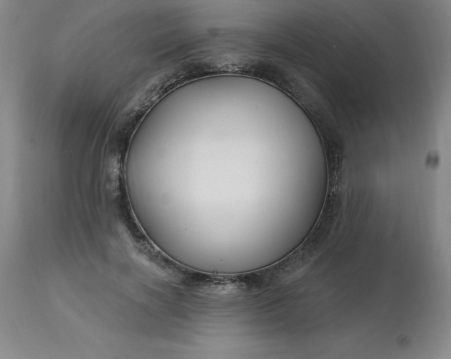 X0000113120646200909111140