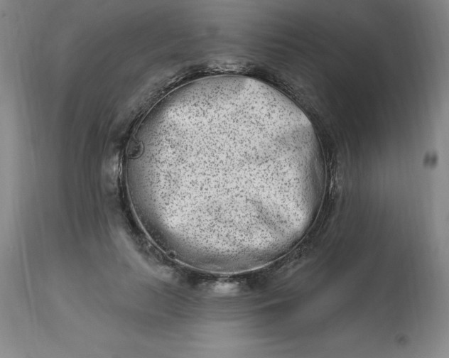 X0000113120647200909111140