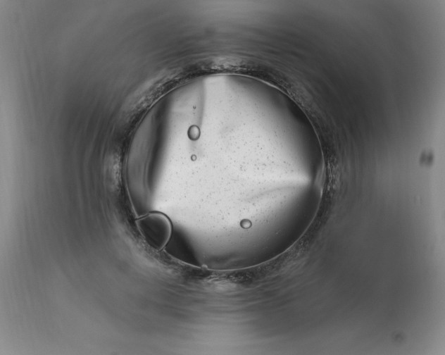 X0000113120648200909111140