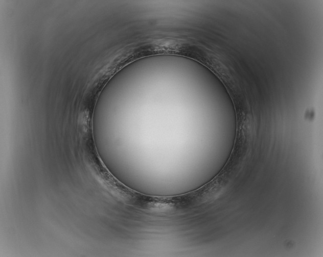 X0000113120649200909111140