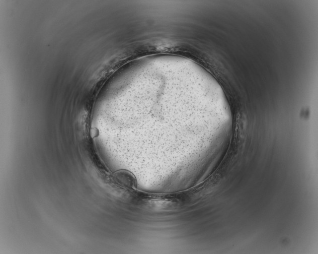 X0000113120650200909111140