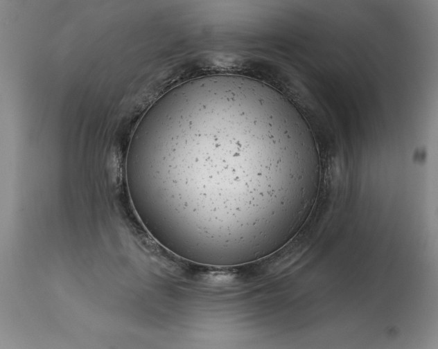 X0000113120651200909111140