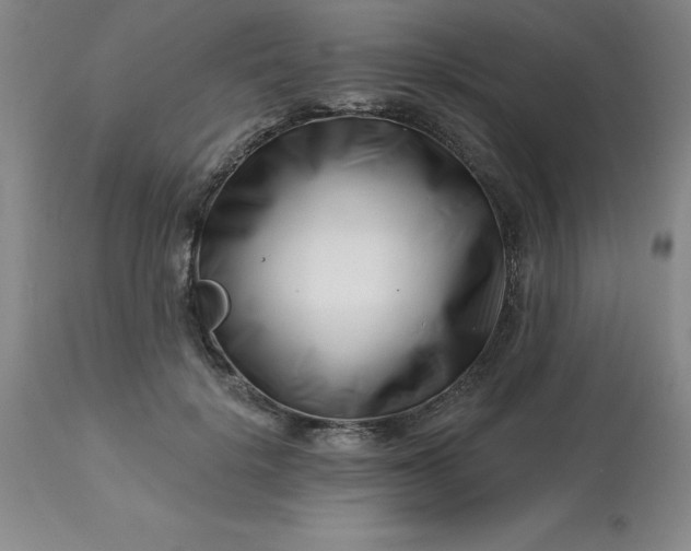 X0000113120652200909111141